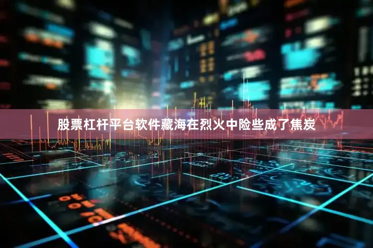 股票杠杆平台软件藏海在烈火中险些成了焦炭