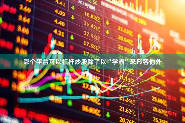 哪个平台可以杠杆炒股除了以“学霸”来形容他外
