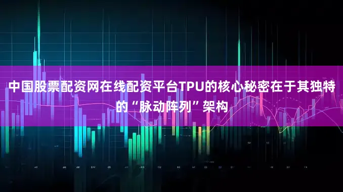 中国股票配资网在线配资平台TPU的核心秘密在于其独特的“脉动阵列”架构
