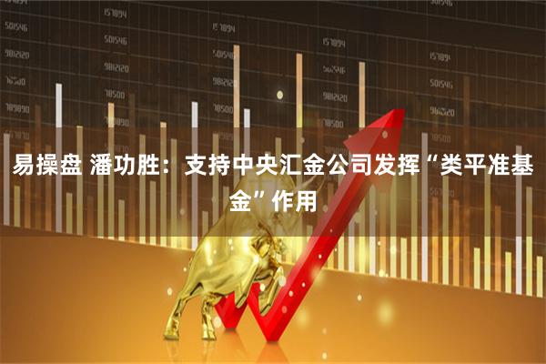 易操盘 潘功胜：支持中央汇金公司发挥“类平准基金”作用